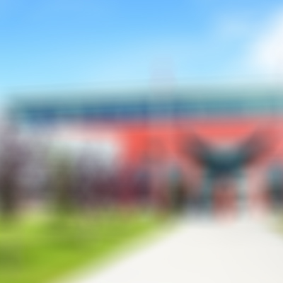 Reserva tu auto en el Aeropuerto de El Calafate (FTE) con Invernalia Rent a Car. Atención personalizada, precios bajos y reserva online segura.